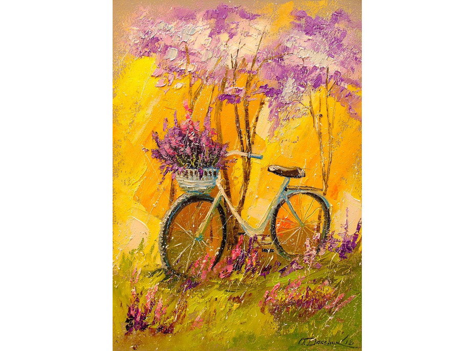 ENJOY Puzzle Môj bicykel 1000 dielikov