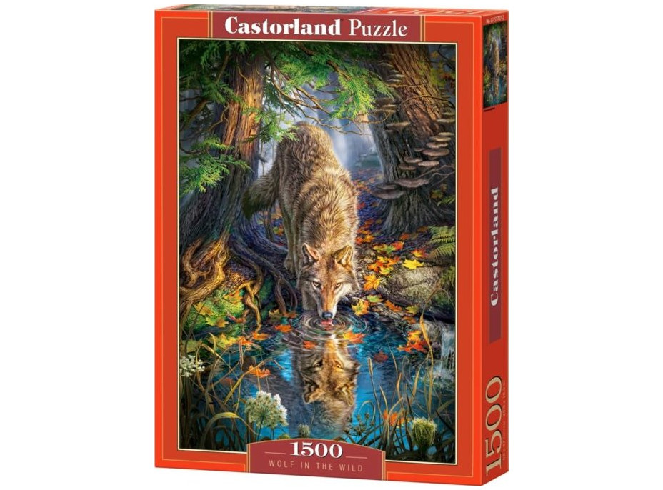 CASTORLAND Puzzle Pijúci vlk 1500 dielikov