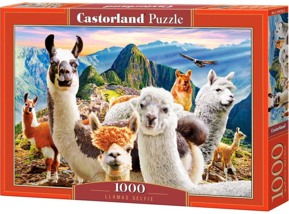 CASTORLAND Puzzle Selfie lam na Macchu Picchu 1000 dielikov