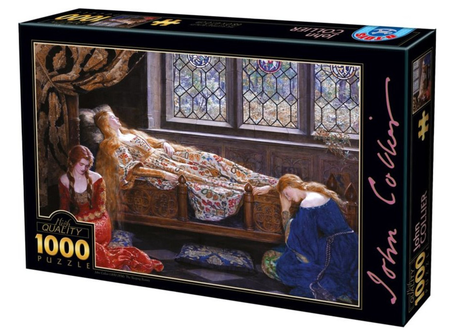 D-TOYS Puzzle Šípková Ruženka 1000 dielikov