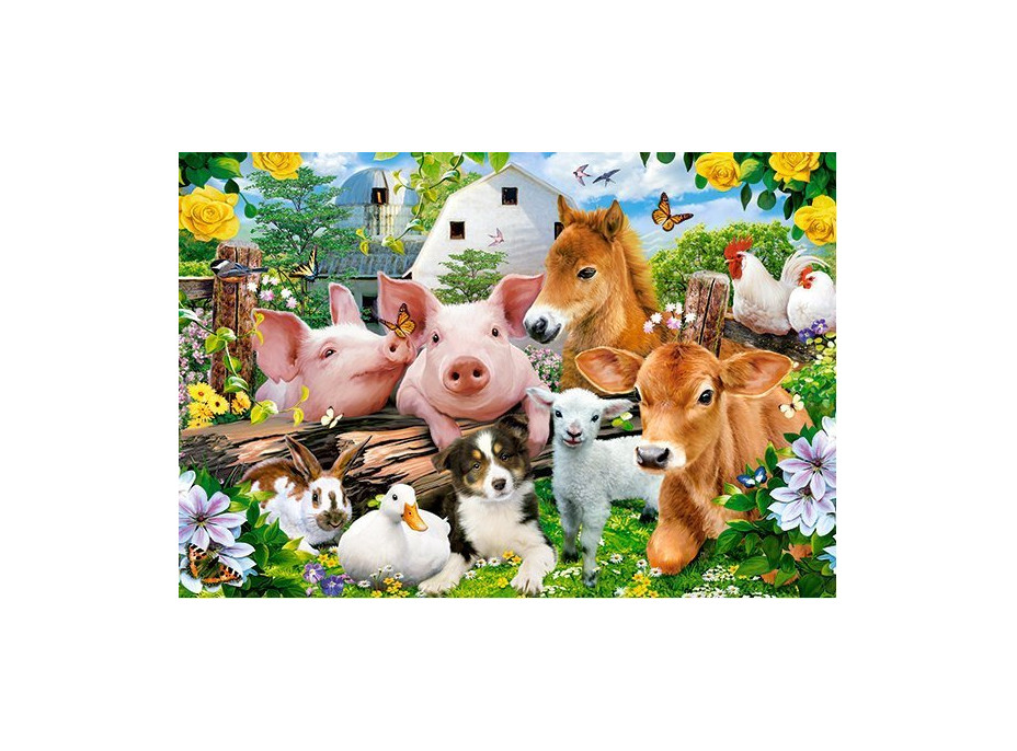 CASTORLAND Puzzle Priatelia zo statku MAXI 40 dielikov