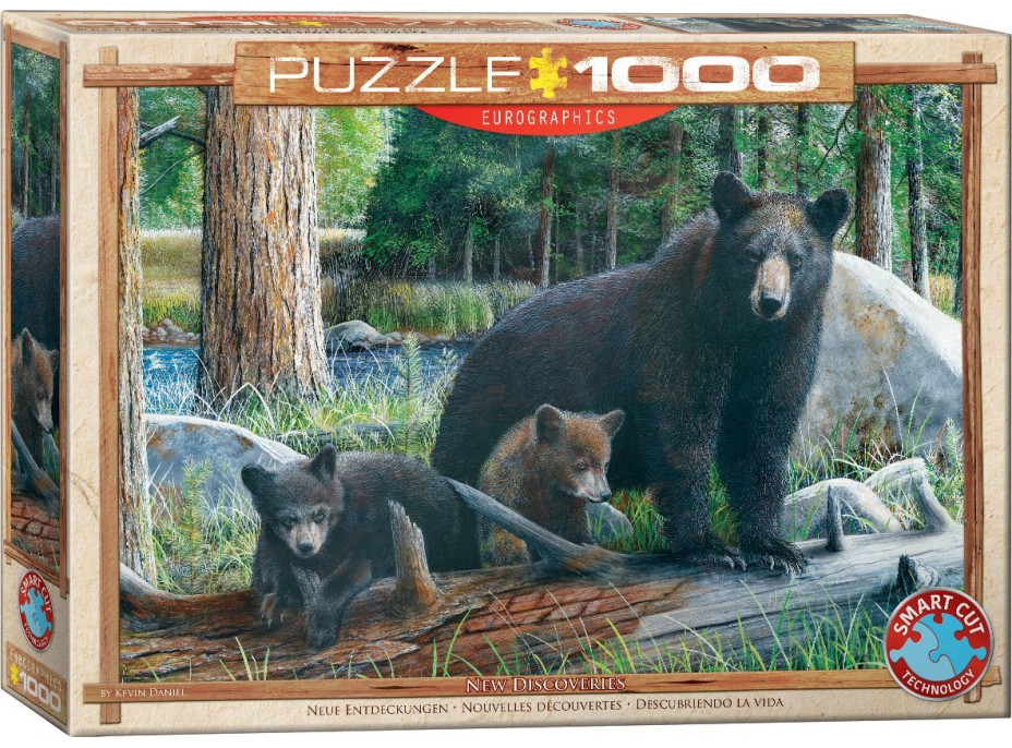 EUROGRAPHICS Puzzle Nové objavy 1000 dielikov