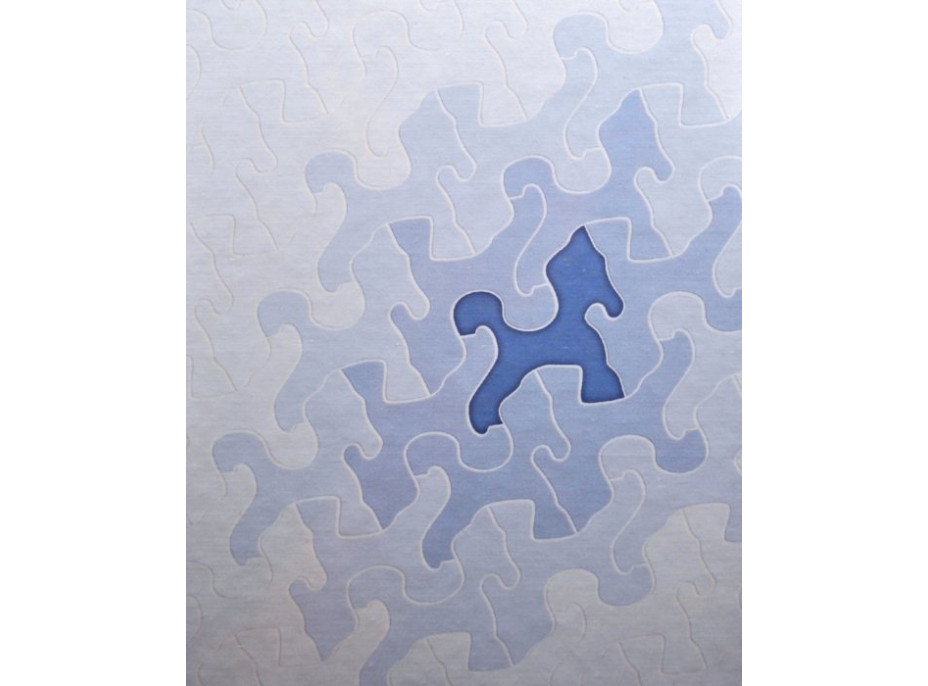 D-TOYS Puzzle Rytieri 35 dielikov