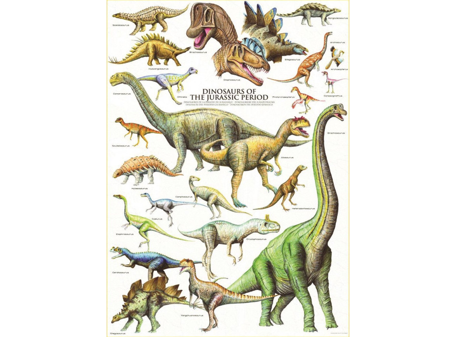 EUROGRAPHICS Puzzle Dinosaury z jurského obdobia 1000 dielikov