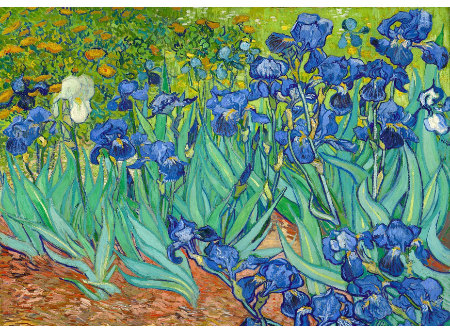 ENJOY Puzzle Vincent Van Gogh: Kosatce 1000 dielikov