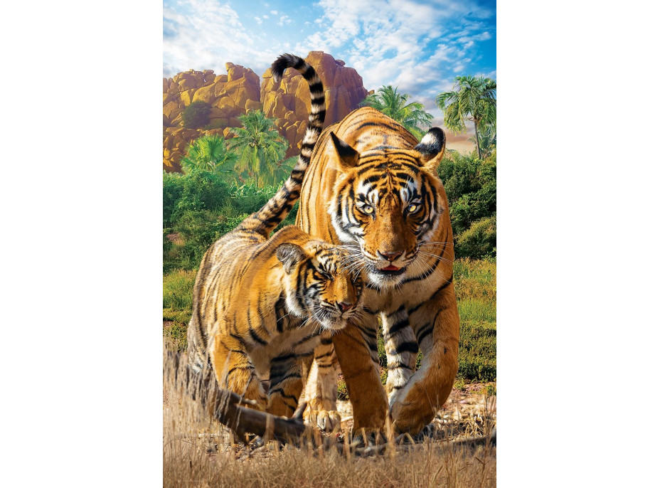 EUROGRAPHICS Puzzle Save Our Planet: Tigre XL 250 dielikov