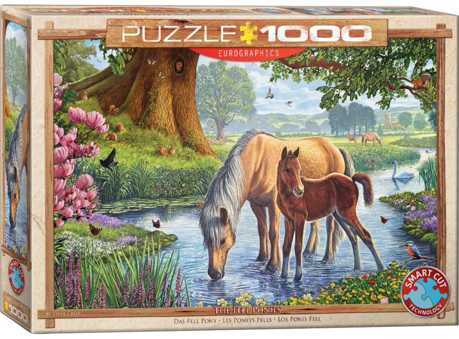 EUROGRAPHICS Puzzle Fellskí poníky 1000 dielikov