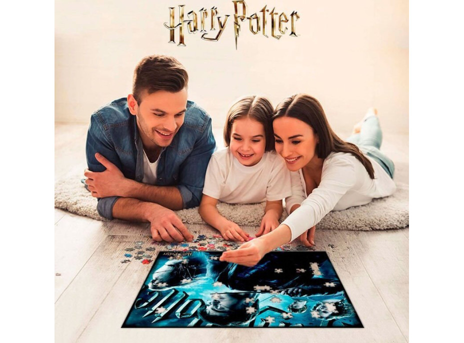 PRIME 3D Puzzle Harry Potter: Chrabromil 3D 500 dielikov