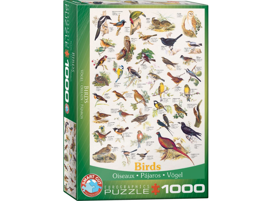 EUROGRAPHICS Puzzle Vtáky 1000 dielikov