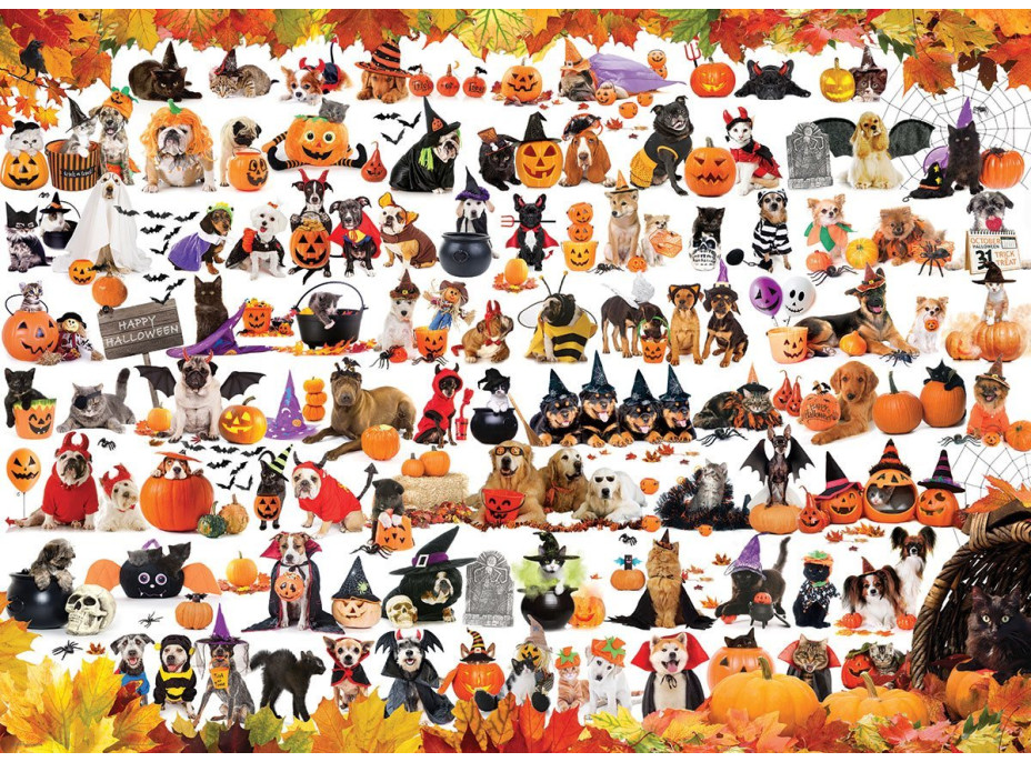 EUROGRAPHICS Puzzle Halloweenske zvieratká 1000 dielikov