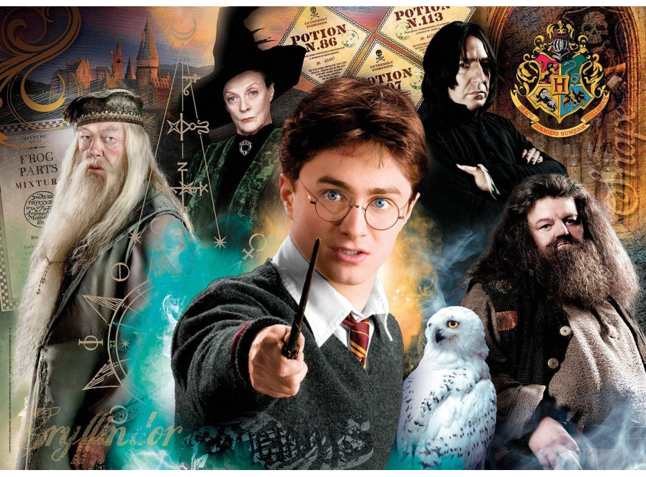 CLEMENTONI Puzzle Harry Potter 500 dielikov