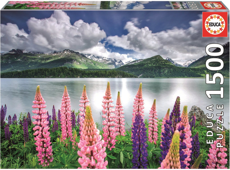 EDUCA Puzzle Lupiny na brehu jazera Sils, Švajčiarsko 1500 dielikov