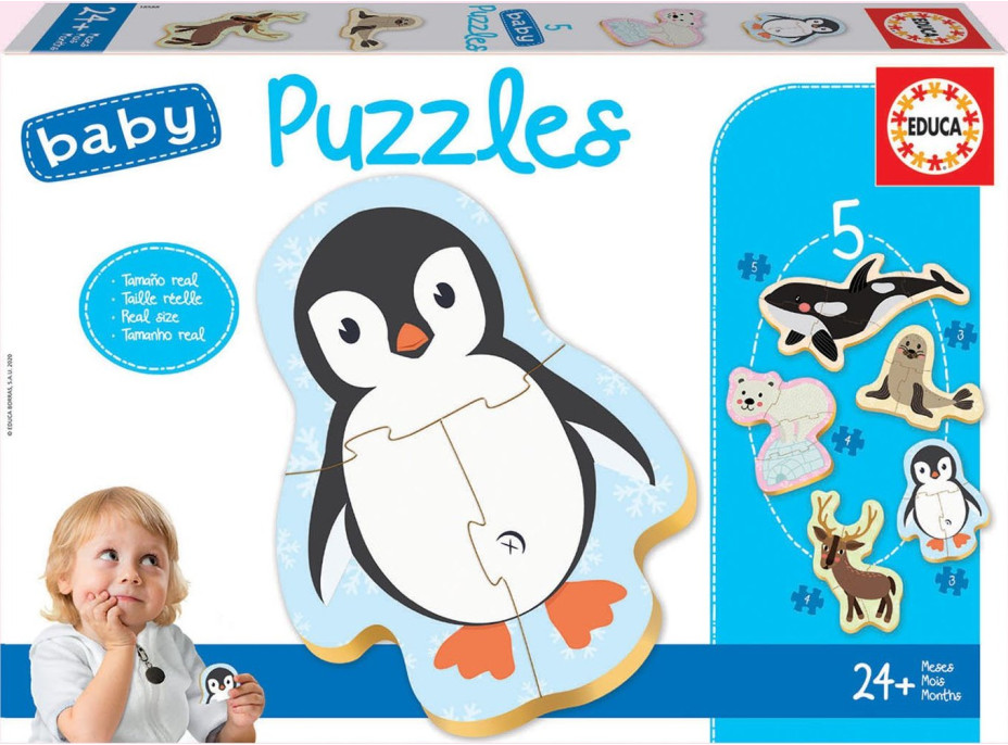 EDUCA Baby puzzle Polárne zvieratá 5v1 (3-5 dielikov)