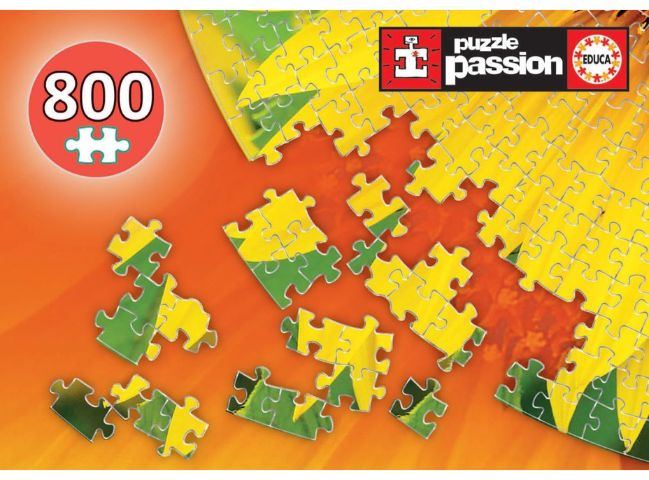 EDUCA Okrúhle puzzle Slnečnica 800 dielikov