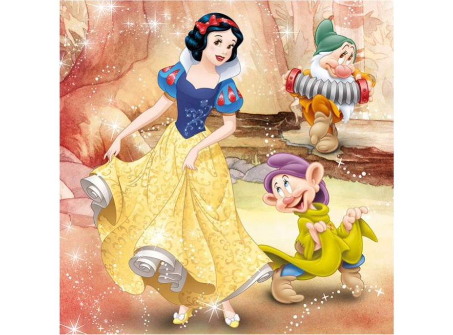 DINO Puzzle Disney princeznej 3x55 dielikov