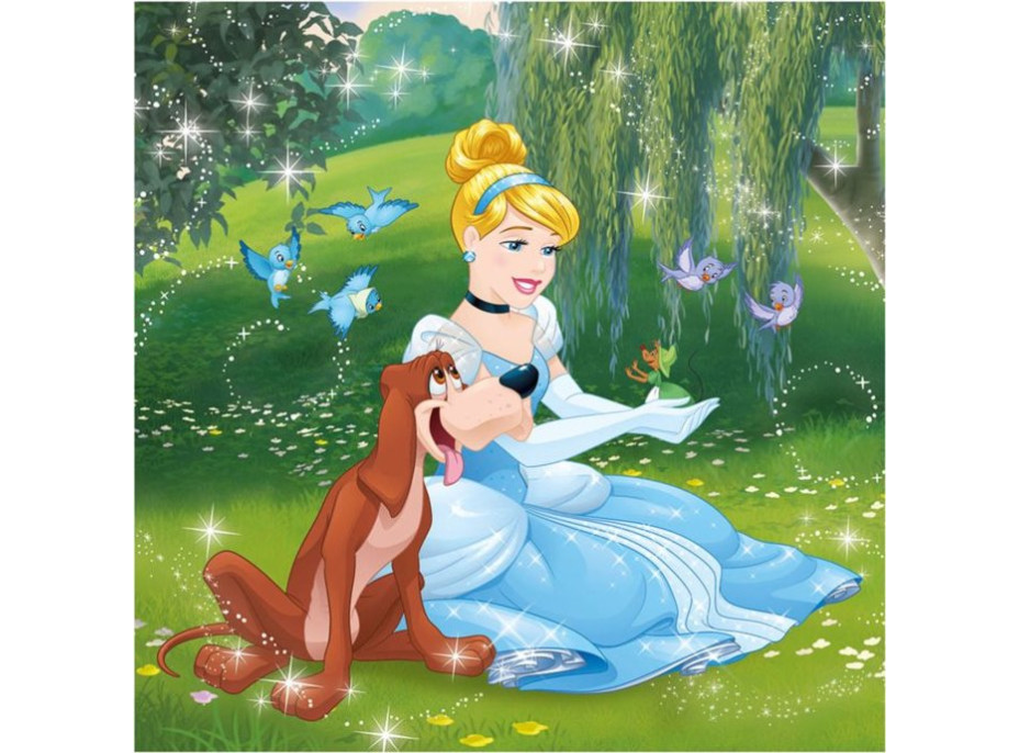 DINO Puzzle Disney princeznej 3x55 dielikov