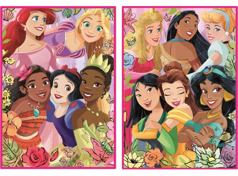 EDUCA Puzzle Disney princeznej 2x500 dielikov