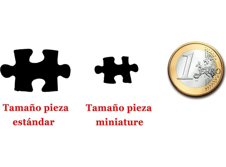 EDUCA Miniatúrne puzzle Svet 1000 dielikov