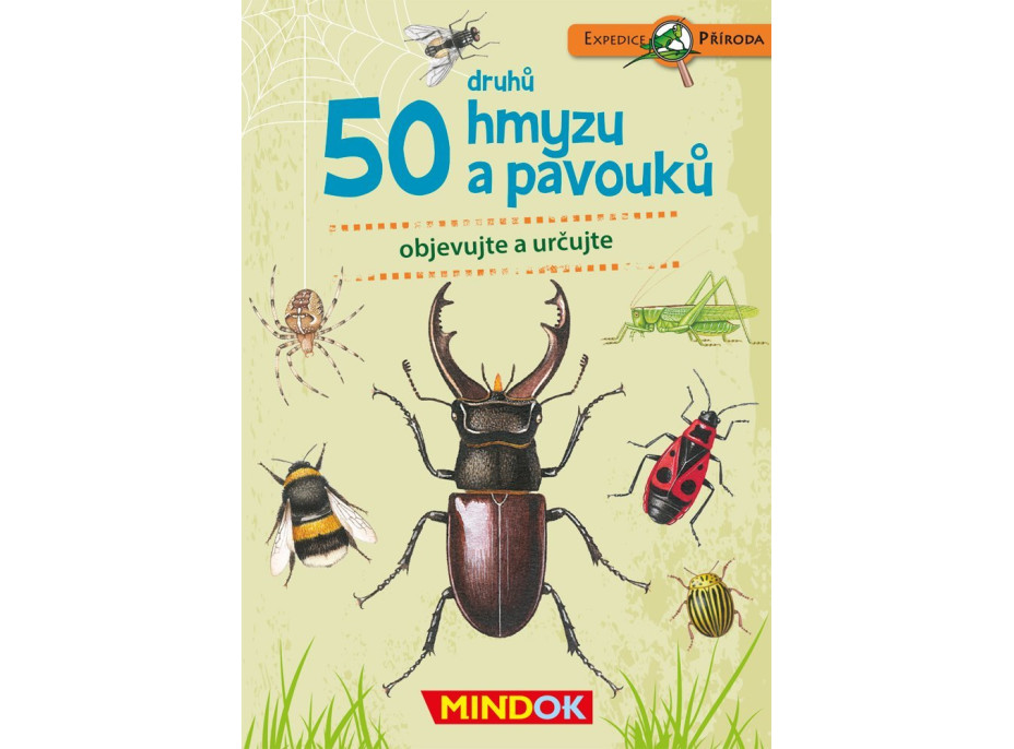 MINDOK Expedícia príroda: 50 druhov hmyzu a pavúkov