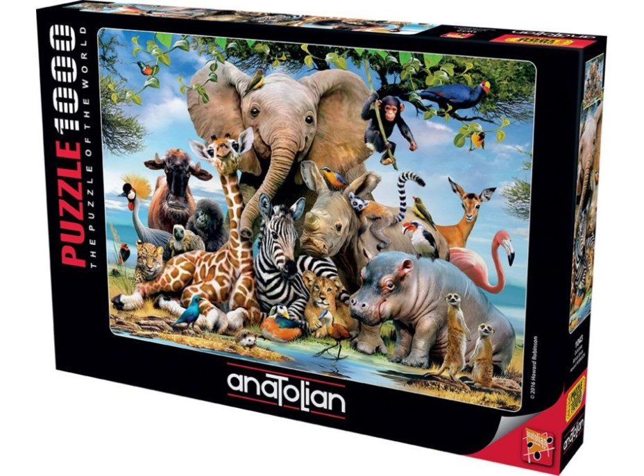 ANATOLIAN Puzzle Africký úsmev 1000 dielikov