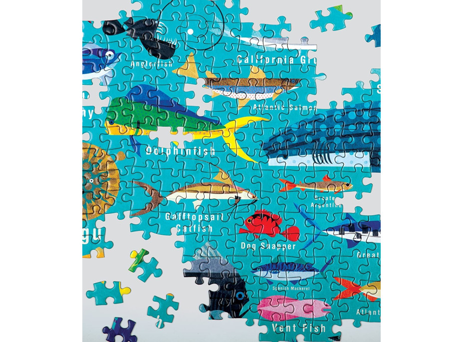 GALISON Puzzle Život v oceáne 1000 dielikov