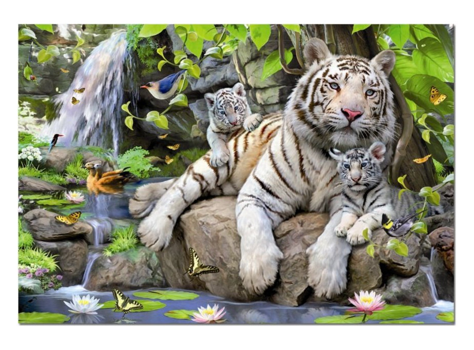 EDUCA Puzzle Bieli bengálski tigre 1000 dielikov