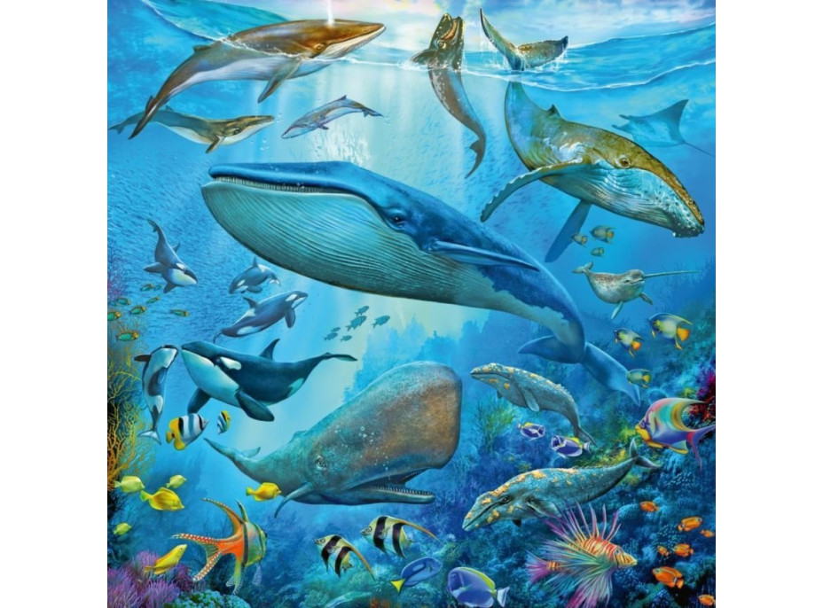 RAVENSBURGER Puzzle Zvieratá z oceánu 3x49 dielikov