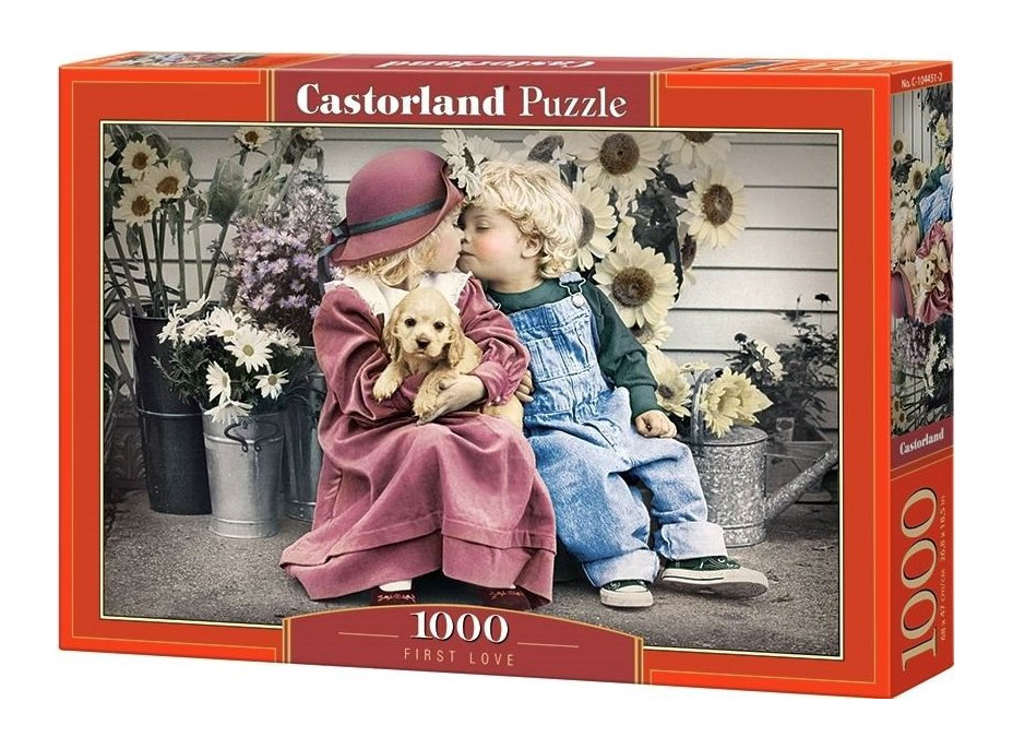 CASTORLAND Puzzle Prvá láska 1000 dielikov