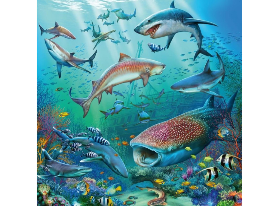 RAVENSBURGER Puzzle Zvieratá z oceánu 3x49 dielikov