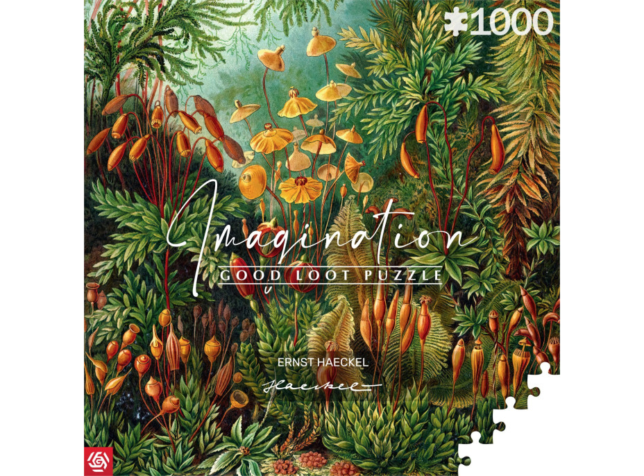 GOOD LOOT Puzzle Imagination: Ernst Haeckel - Muscinae 1000 dielikov