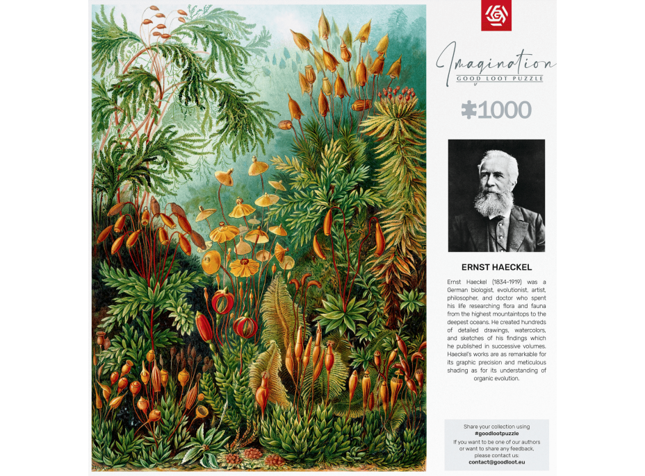 GOOD LOOT Puzzle Imagination: Ernst Haeckel - Muscinae 1000 dielikov