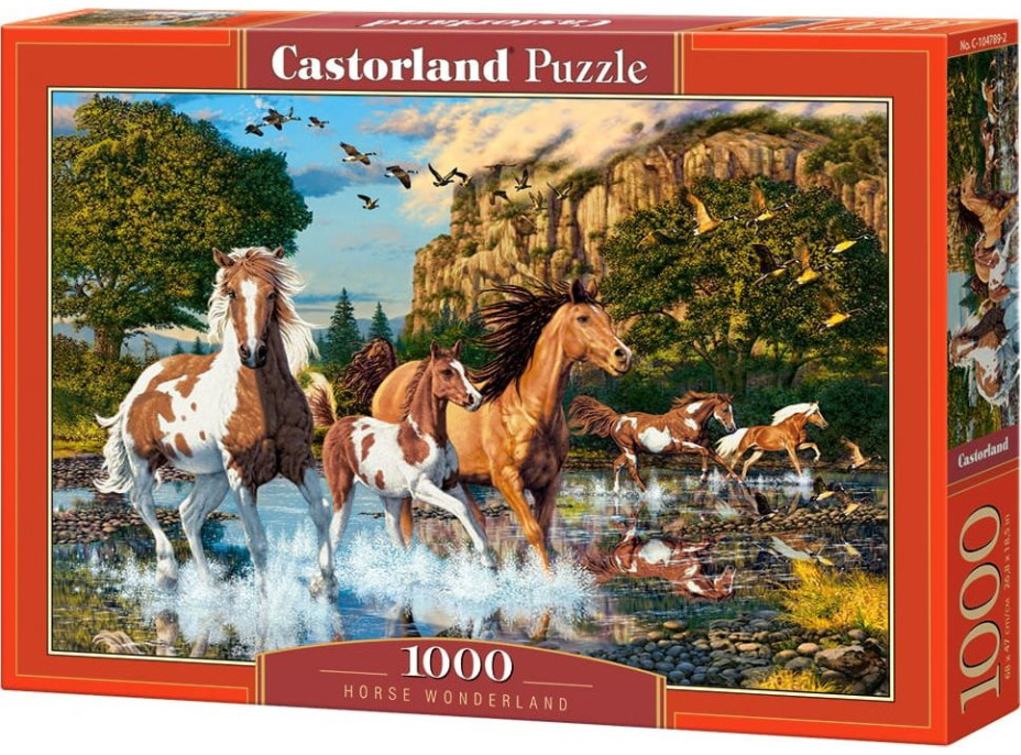 CASTORLAND Puzzle Konská ríša divov 1000 dielikov