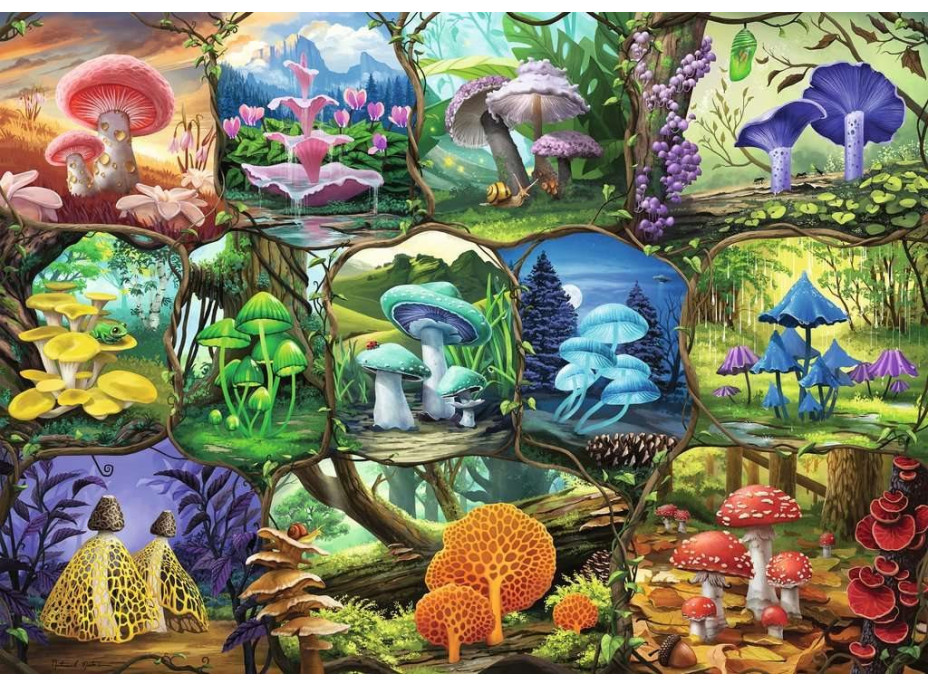 RAVENSBURGER Puzzle Nádherné huby 1000 dielikov